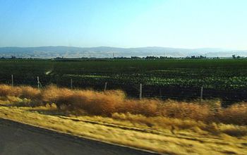 California's Central Valley, with the rugged hills of the Coast Ranges in the background.